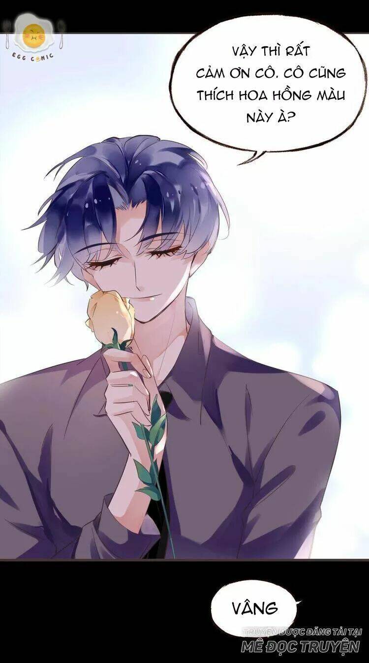 Nở Rộ Trên Bụi Gai Chapter 41 - Trang 2