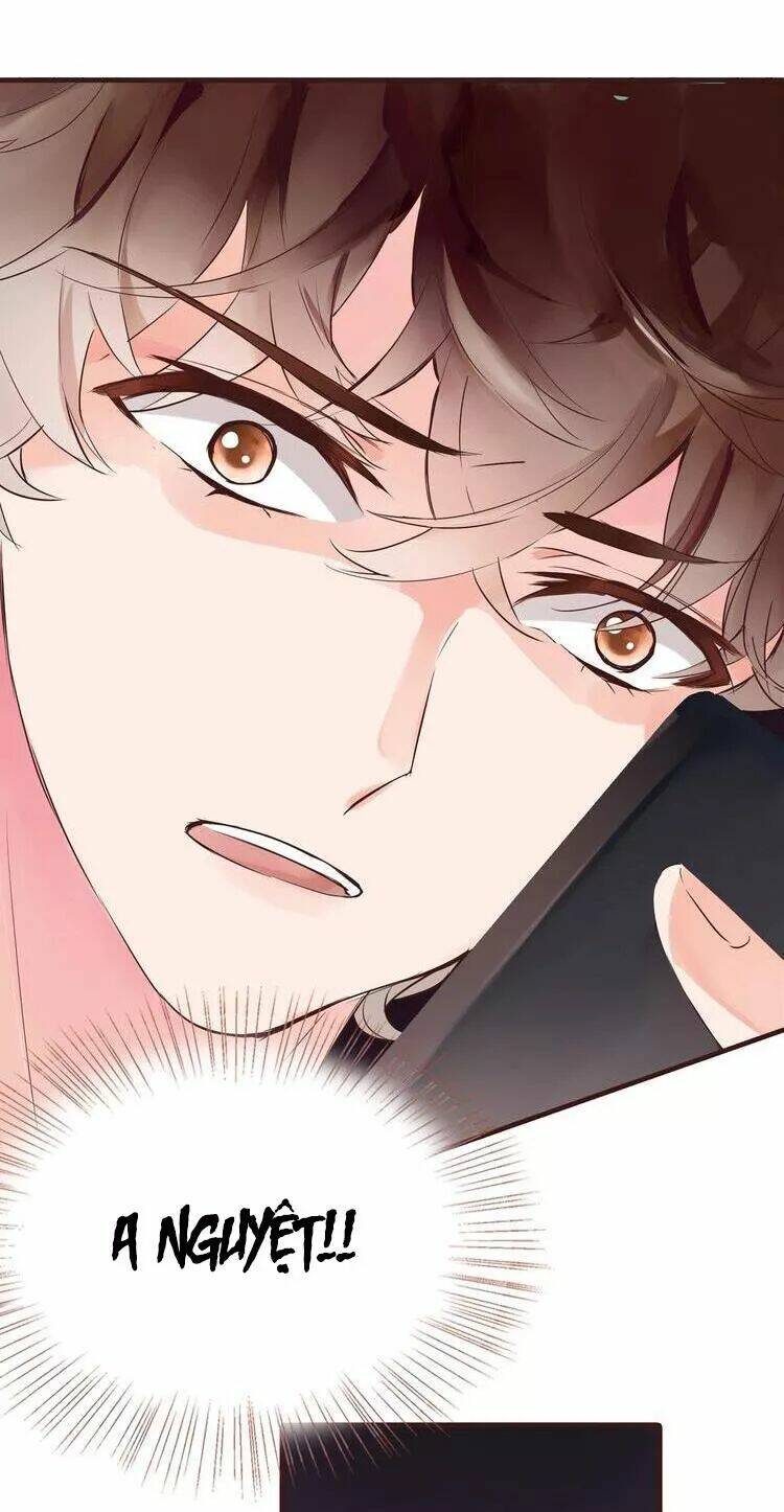Nở Rộ Trên Bụi Gai Chapter 42 - Trang 2