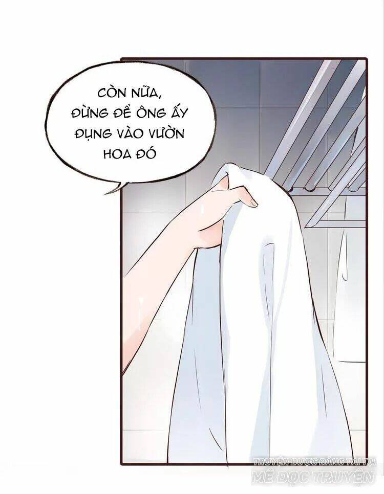 Nở Rộ Trên Bụi Gai Chapter 42 - Trang 2