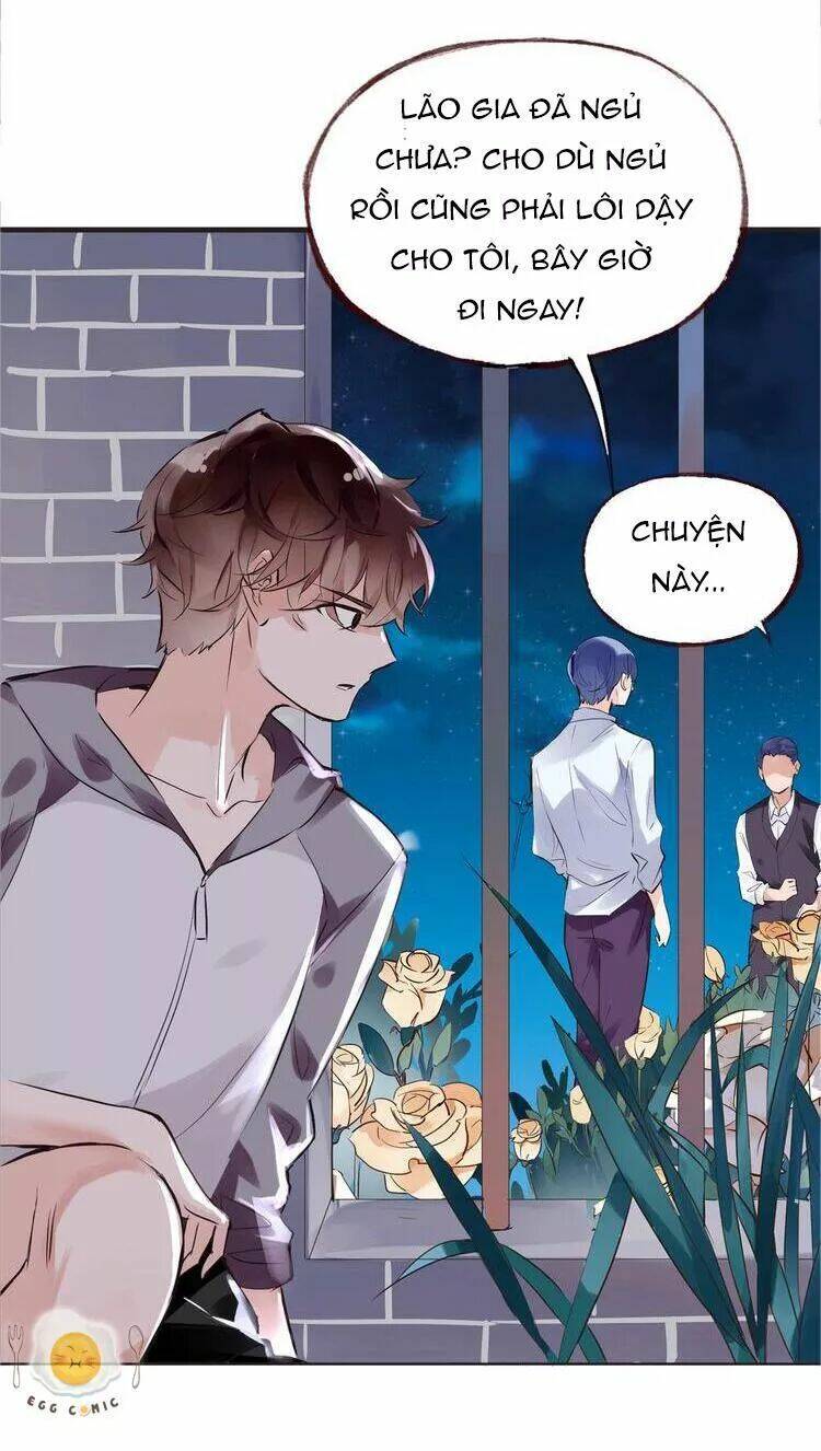 Nở Rộ Trên Bụi Gai Chapter 44 - Trang 2