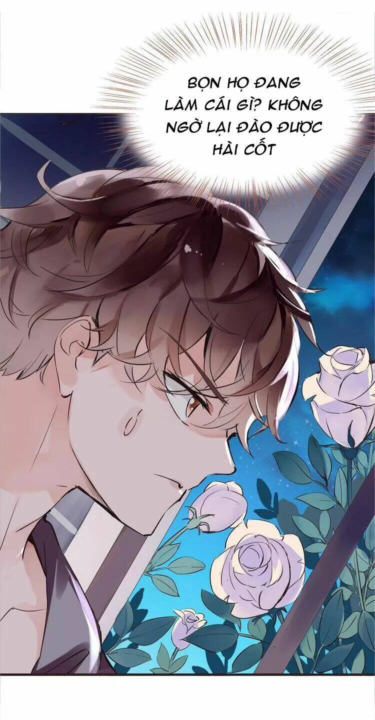 Nở Rộ Trên Bụi Gai Chapter 44 - Trang 2