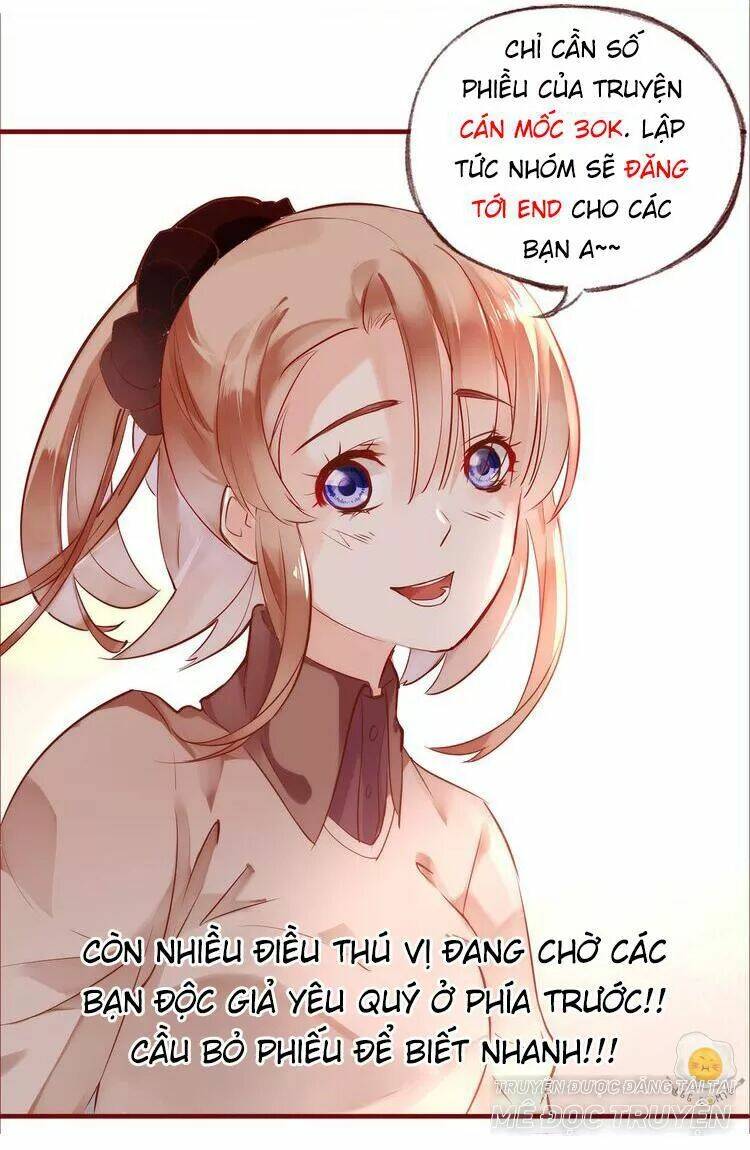 Nở Rộ Trên Bụi Gai Chapter 45 - Trang 2