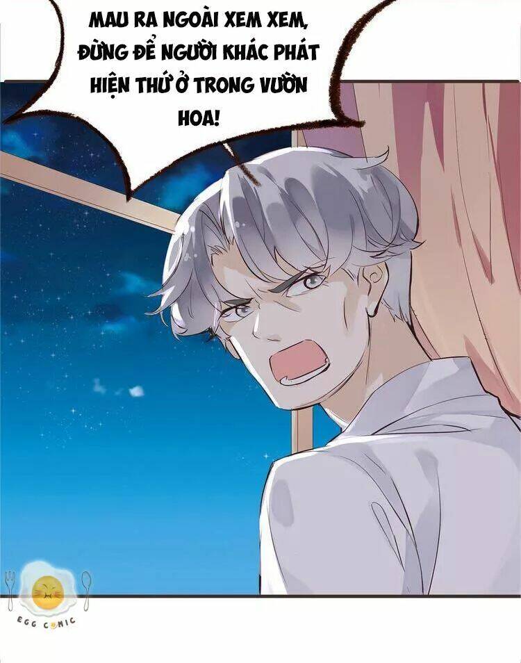 Nở Rộ Trên Bụi Gai Chapter 45 - Trang 2
