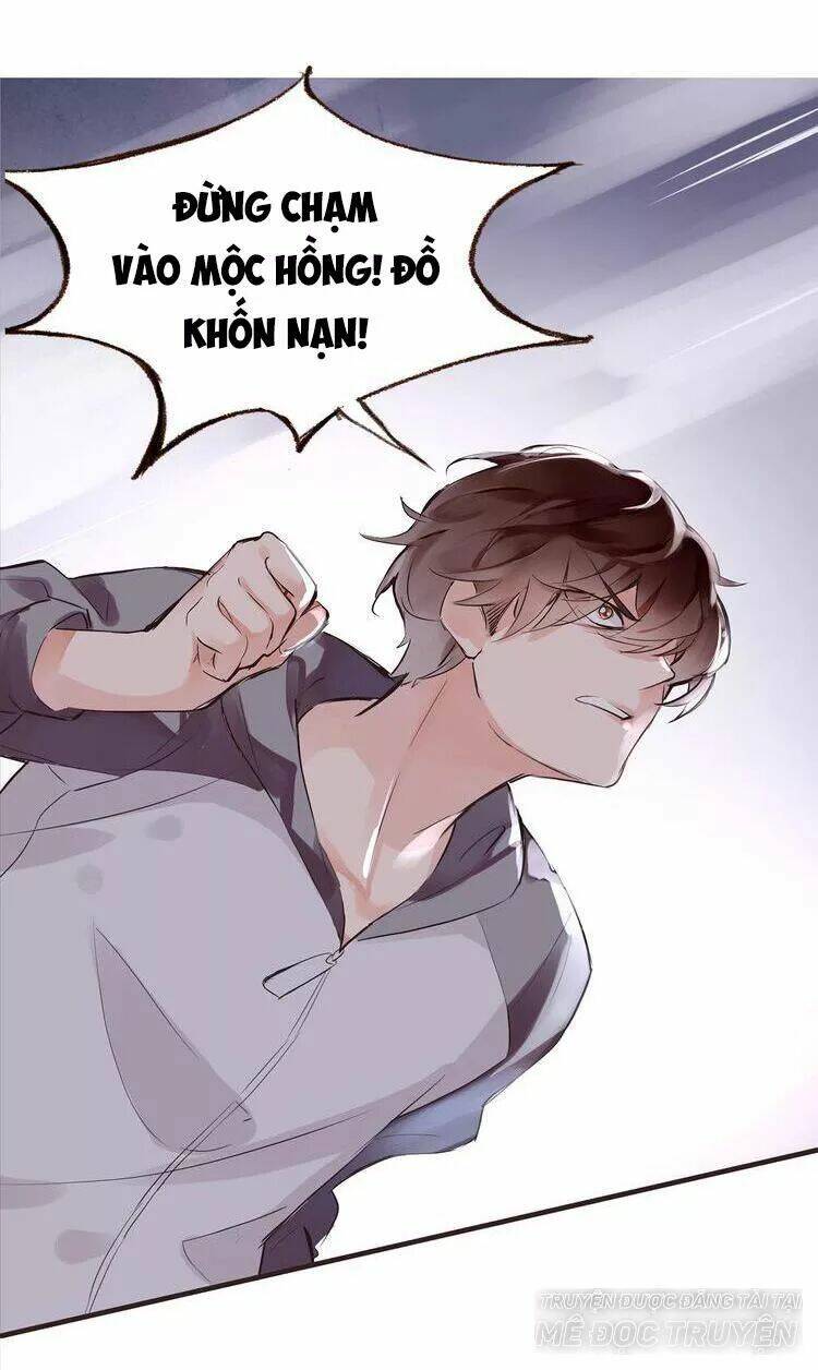 Nở Rộ Trên Bụi Gai Chapter 46 - Trang 2