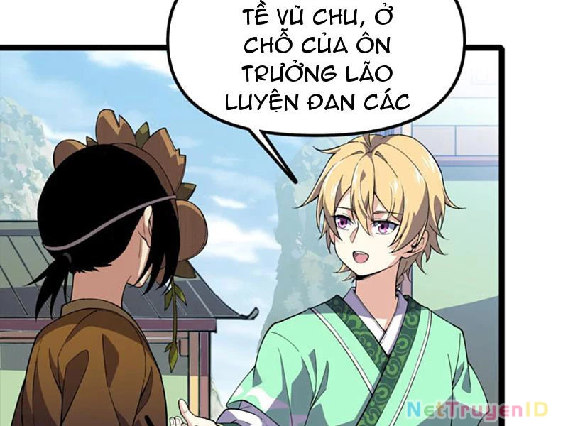 Xuyên Không Đến Thế Giới Tu Chân, Ta Vậy Mà Kích Hoạt Được Hệ Thống Plants Vs Zombie Chapter 11 - Trang 2