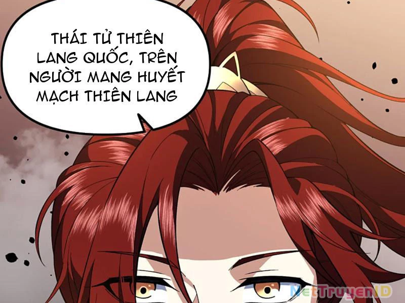 Xuyên Không Đến Thế Giới Tu Chân, Ta Vậy Mà Kích Hoạt Được Hệ Thống Plants Vs Zombie Chapter 11 - Trang 2