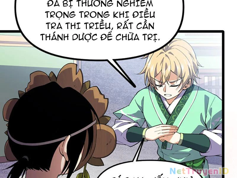 Xuyên Không Đến Thế Giới Tu Chân, Ta Vậy Mà Kích Hoạt Được Hệ Thống Plants Vs Zombie Chapter 11 - Trang 2