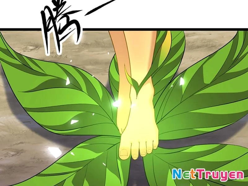 Xuyên Không Đến Thế Giới Tu Chân, Ta Vậy Mà Kích Hoạt Được Hệ Thống Plants Vs Zombie Chapter 11 - Trang 2