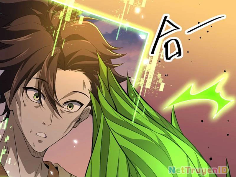 Xuyên Không Đến Thế Giới Tu Chân, Ta Vậy Mà Kích Hoạt Được Hệ Thống Plants Vs Zombie Chapter 11 - Trang 2