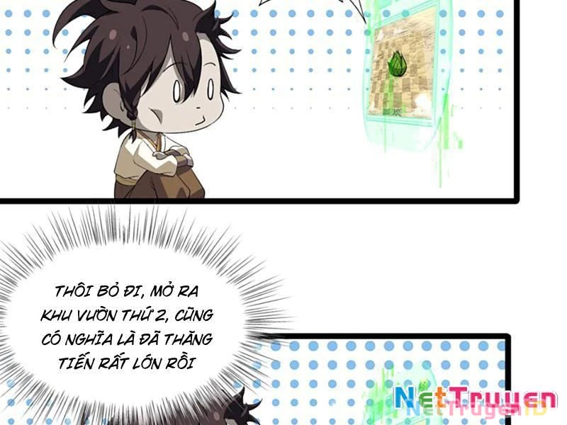 Xuyên Không Đến Thế Giới Tu Chân, Ta Vậy Mà Kích Hoạt Được Hệ Thống Plants Vs Zombie Chapter 11 - Trang 2