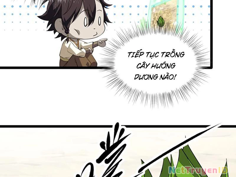 Xuyên Không Đến Thế Giới Tu Chân, Ta Vậy Mà Kích Hoạt Được Hệ Thống Plants Vs Zombie Chapter 11 - Trang 2