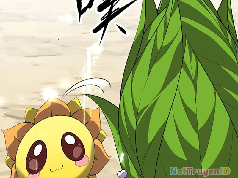 Xuyên Không Đến Thế Giới Tu Chân, Ta Vậy Mà Kích Hoạt Được Hệ Thống Plants Vs Zombie Chapter 11 - Trang 2