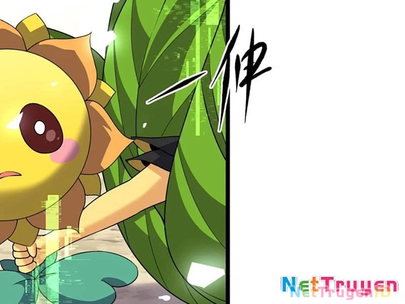Xuyên Không Đến Thế Giới Tu Chân, Ta Vậy Mà Kích Hoạt Được Hệ Thống Plants Vs Zombie Chapter 11 - Trang 2