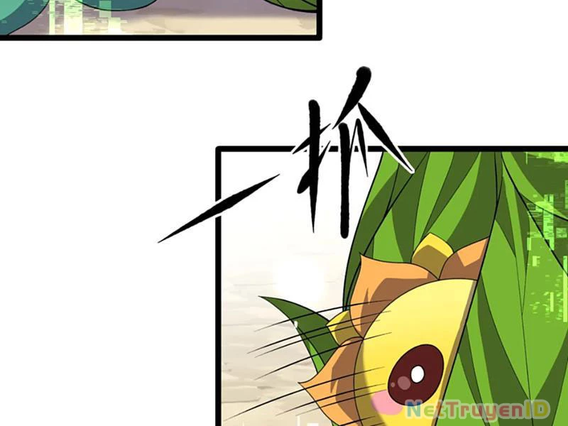 Xuyên Không Đến Thế Giới Tu Chân, Ta Vậy Mà Kích Hoạt Được Hệ Thống Plants Vs Zombie Chapter 11 - Trang 2