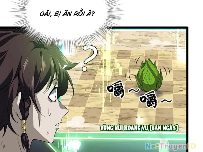 Xuyên Không Đến Thế Giới Tu Chân, Ta Vậy Mà Kích Hoạt Được Hệ Thống Plants Vs Zombie Chapter 11 - Trang 2