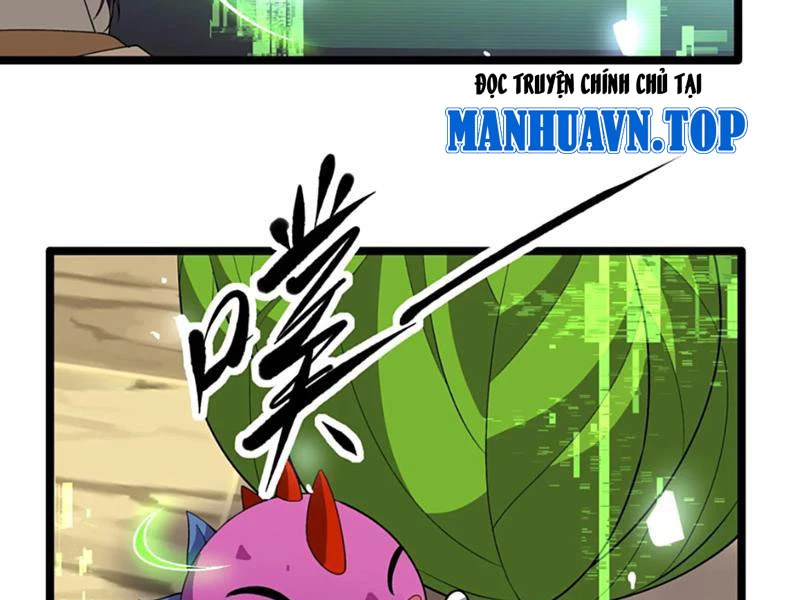 Xuyên Không Đến Thế Giới Tu Chân, Ta Vậy Mà Kích Hoạt Được Hệ Thống Plants Vs Zombie Chapter 11 - Trang 2