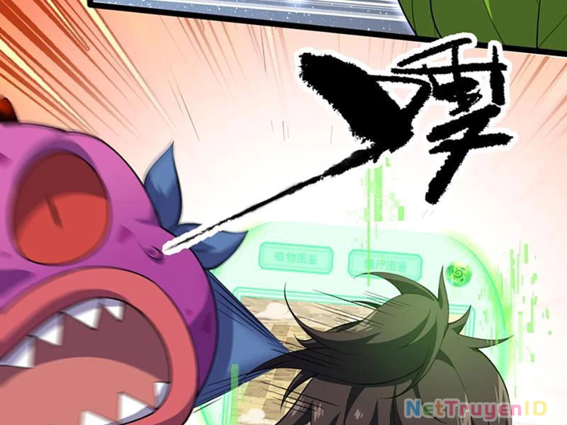 Xuyên Không Đến Thế Giới Tu Chân, Ta Vậy Mà Kích Hoạt Được Hệ Thống Plants Vs Zombie Chapter 11 - Trang 2