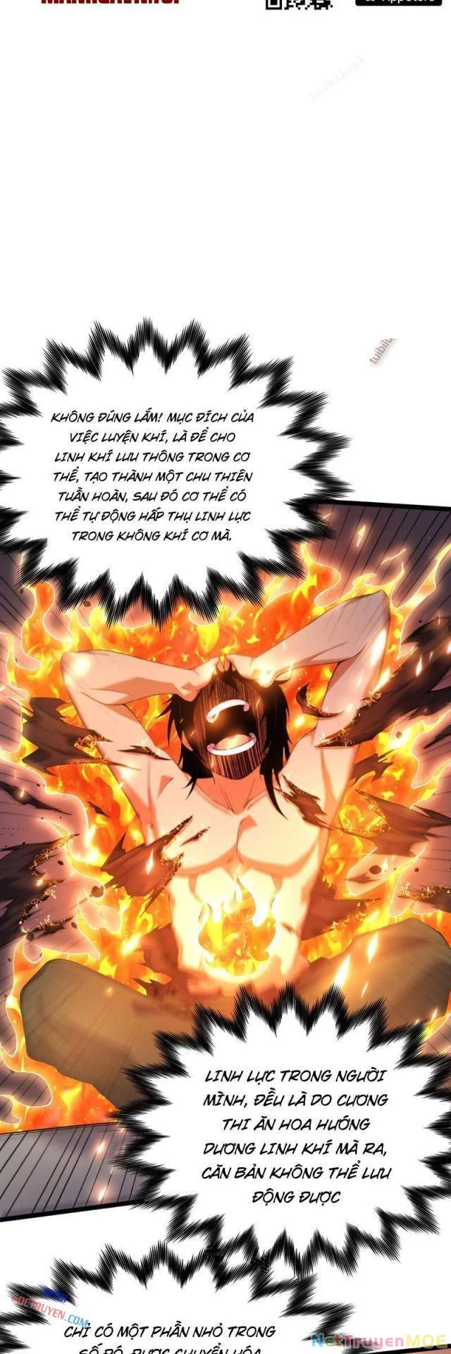 Xuyên Không Đến Thế Giới Tu Chân, Ta Vậy Mà Kích Hoạt Được Hệ Thống Plants Vs Zombie Chapter 13 - Trang 2