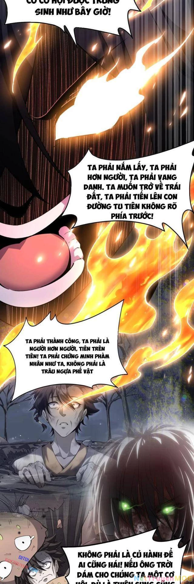 Xuyên Không Đến Thế Giới Tu Chân, Ta Vậy Mà Kích Hoạt Được Hệ Thống Plants Vs Zombie Chapter 13 - Trang 2