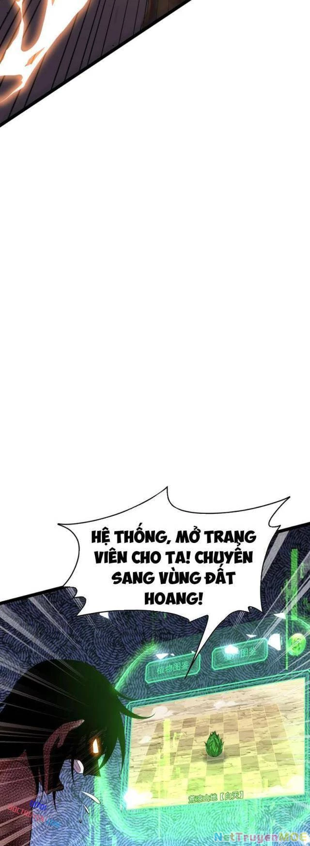 Xuyên Không Đến Thế Giới Tu Chân, Ta Vậy Mà Kích Hoạt Được Hệ Thống Plants Vs Zombie Chapter 13 - Trang 2