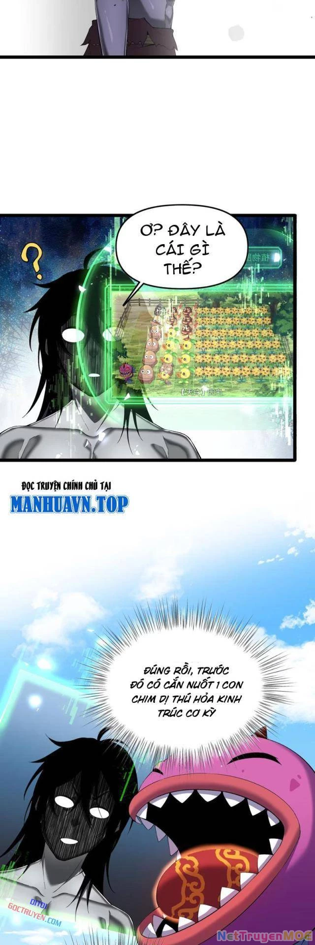 Xuyên Không Đến Thế Giới Tu Chân, Ta Vậy Mà Kích Hoạt Được Hệ Thống Plants Vs Zombie Chapter 13 - Trang 2
