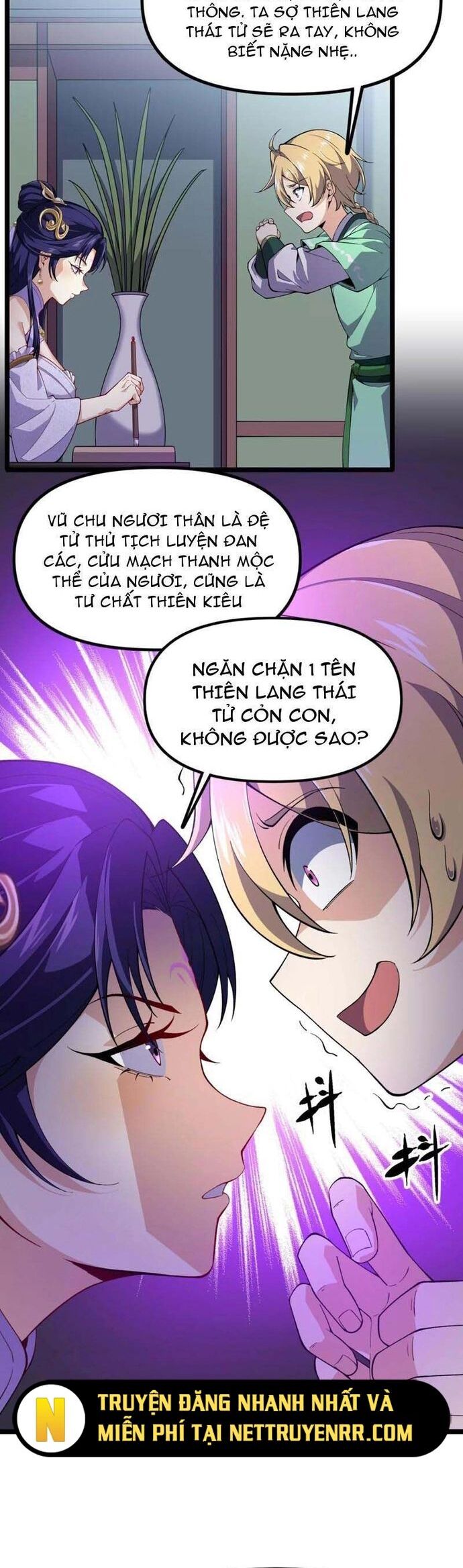 Xuyên Không Đến Thế Giới Tu Chân, Ta Vậy Mà Kích Hoạt Được Hệ Thống Plants Vs Zombie Chapter 14 - Trang 2