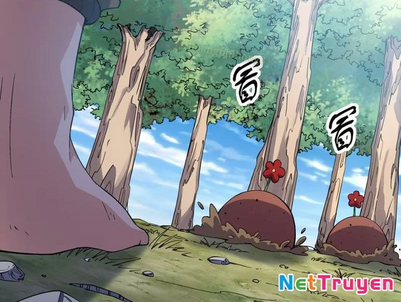 Xuyên Không Đến Thế Giới Tu Chân, Ta Vậy Mà Kích Hoạt Được Hệ Thống Plants Vs Zombie Chapter 15 - Trang 2