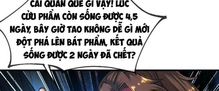 Nhân Sinh Của Ta Có Thể Vô Hạn Mô Phỏng Chapter 11 - Trang 2