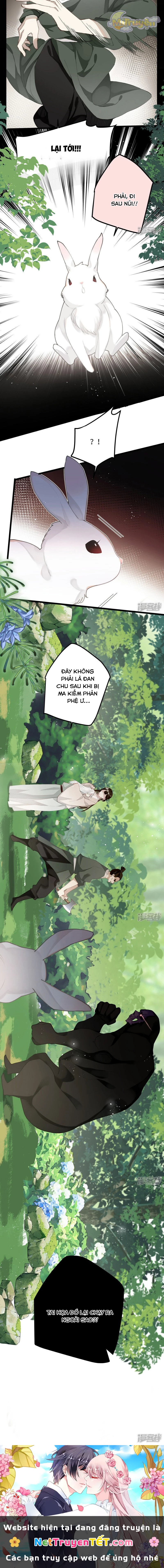 Công Chúa Pháo Hôi Muốn Tùy Tiện Đến Cùng Chapter 91 - Trang 2