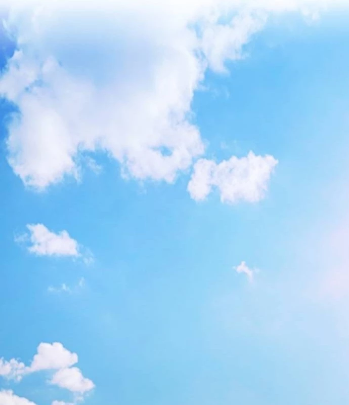 Người Trúng Độc Đắc Cũng Đi Làm Chapter 45 - Trang 2