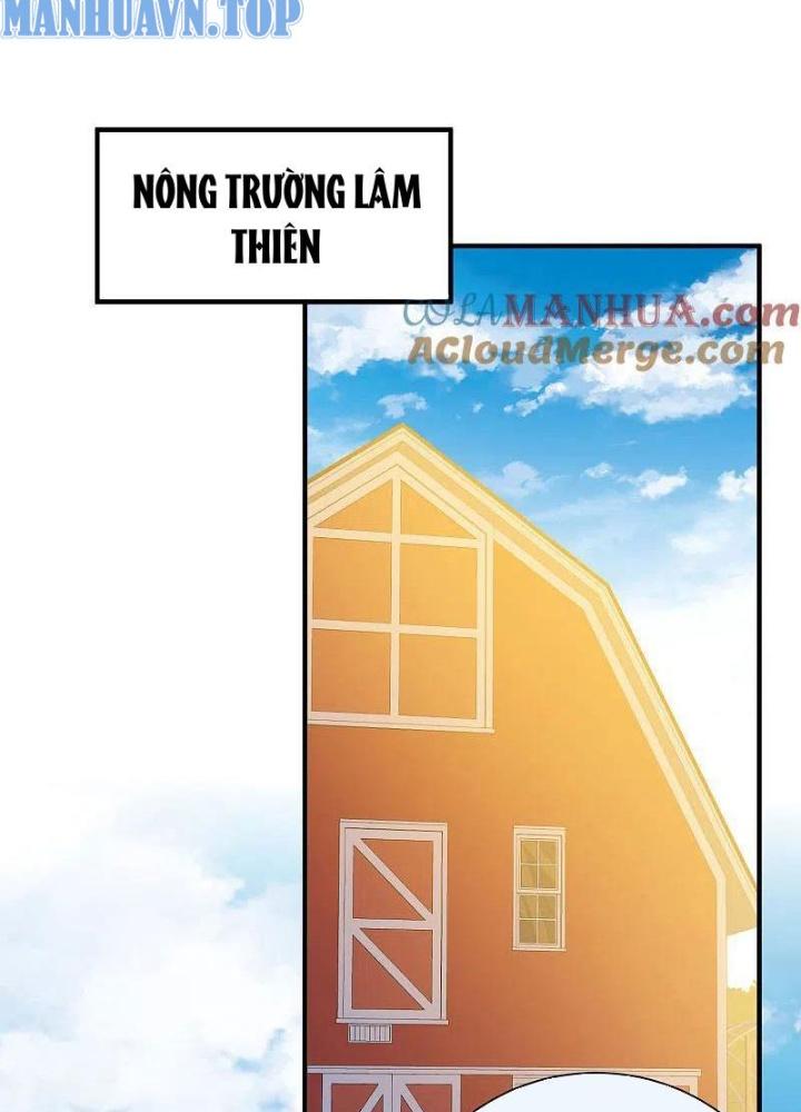 Từ Hôm Nay Bắt Đầu Làm Người Giàu Nhất Chapter 227 - Trang 2