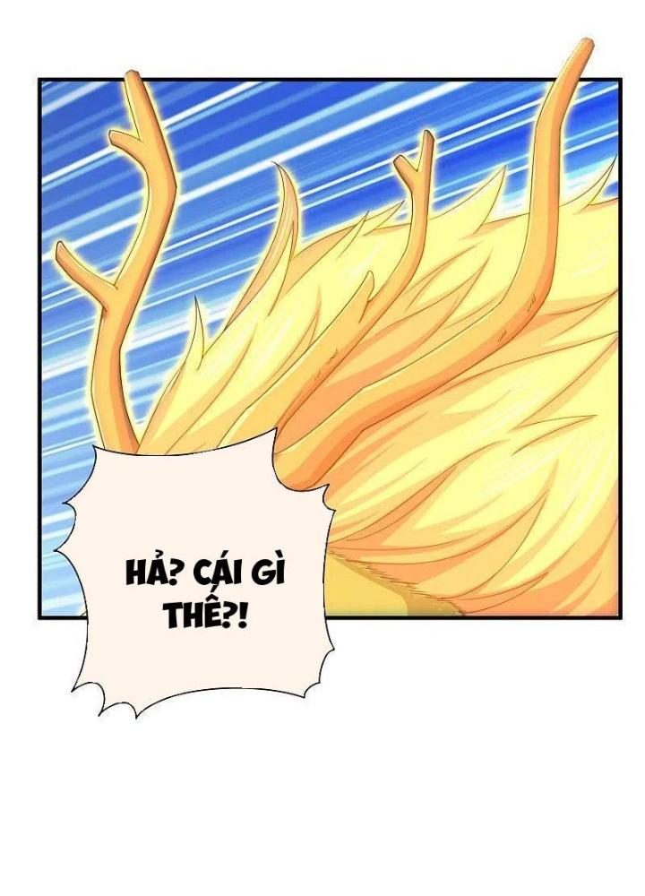 Từ Hôm Nay Bắt Đầu Làm Người Giàu Nhất Chapter 237 - Trang 2