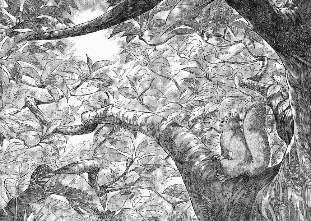 Emma Chapter 59 - Trang 2