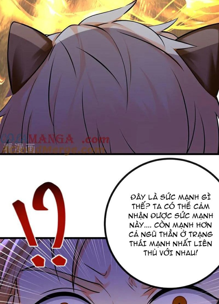 Tuyệt Thế Đan Thần Chapter 271 - Trang 2