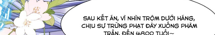 Sư Tỷ Của Ta Đông Đến Một Đám Chapter 210 - Trang 2