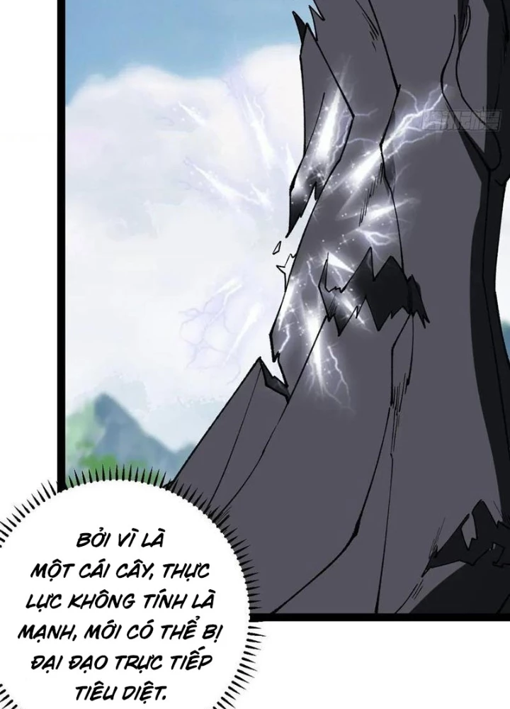 Ta Ở Nhà 100 Năm Khi Ra Ngoài Đã Vô Địch Chapter 327 - Trang 2