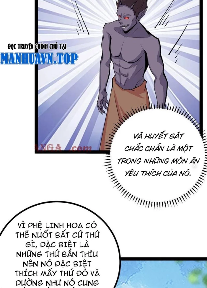 Ta Ở Nhà 100 Năm Khi Ra Ngoài Đã Vô Địch Chapter 329 - Trang 2