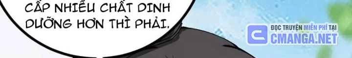 Ta Ở Nhà 100 Năm Khi Ra Ngoài Đã Vô Địch Chapter 329 - Trang 2