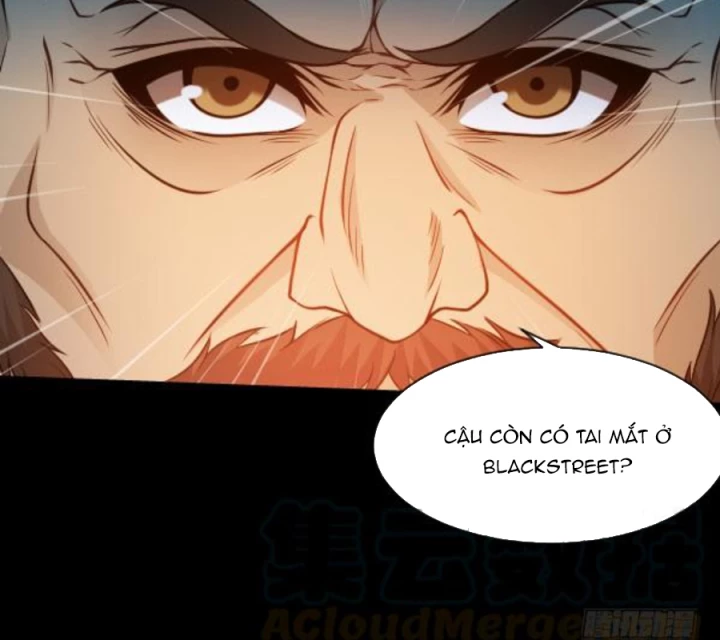 Vương Quốc Huyết Mạch Chapter 38 - Trang 2