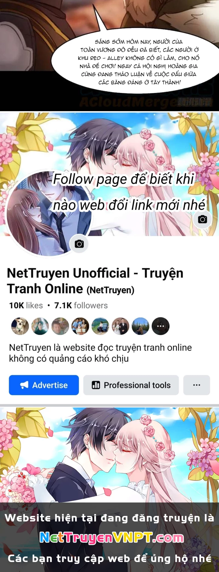 Vương Quốc Huyết Mạch Chapter 88 - Trang 2