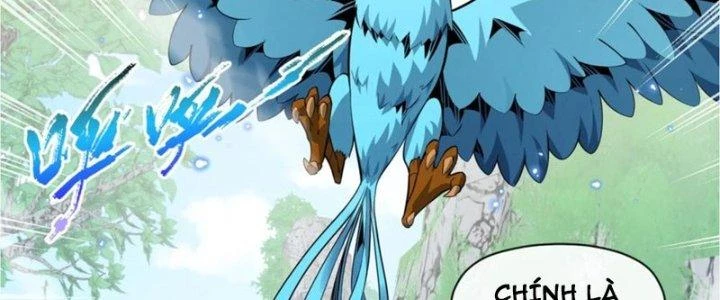 Dù Kiếm Được Nghề Nghiệp Siêu Hiếm Nhưng Lại Bị Toàn Server Đuổi Giết?! Chapter 23 - Trang 2