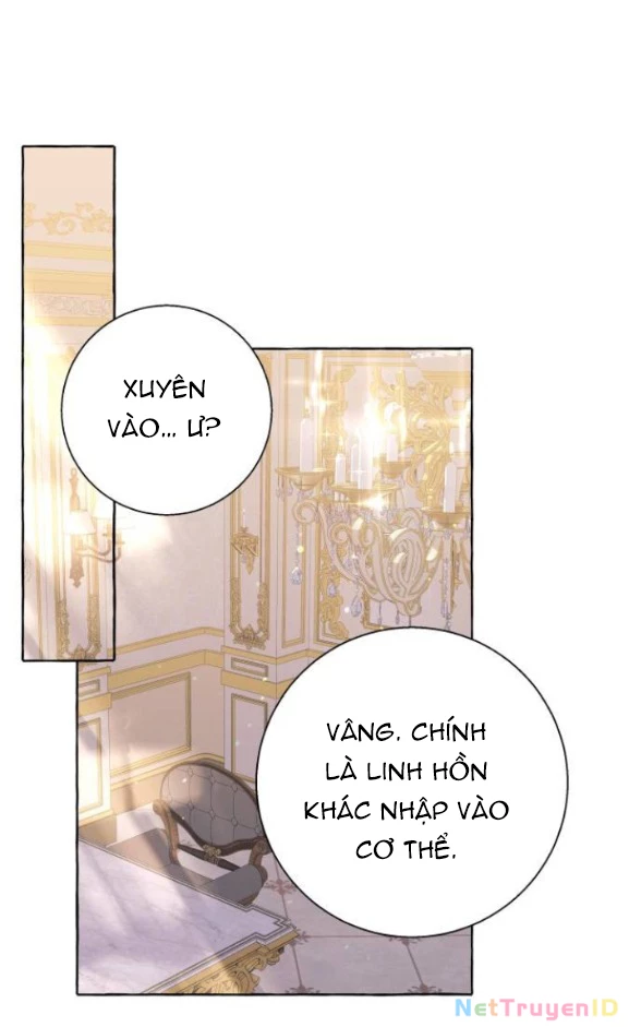Tôi Tưởng Đó Chỉ Là Tiểu Thuyết Trọng Sinh Bình Thường Chapter 85 - Trang 2