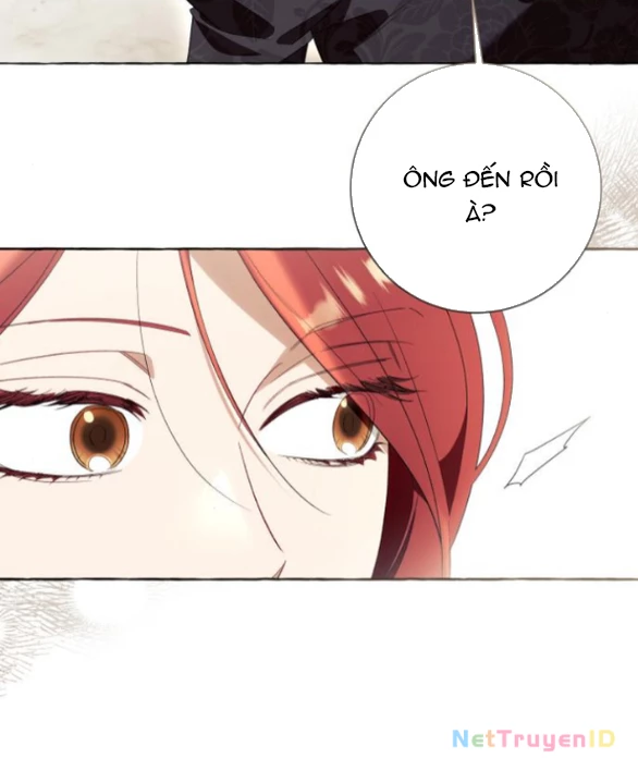 Tôi Tưởng Đó Chỉ Là Tiểu Thuyết Trọng Sinh Bình Thường Chapter 89 - Trang 2