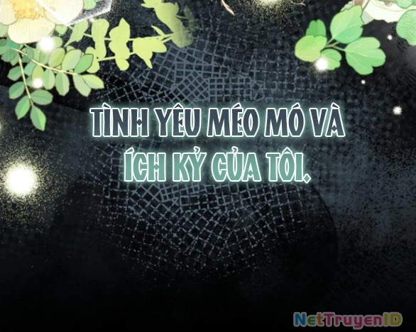 Tôi Tưởng Đó Chỉ Là Tiểu Thuyết Trọng Sinh Bình Thường Chapter 96 - Trang 2