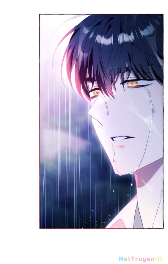 Tôi Tưởng Đó Chỉ Là Tiểu Thuyết Trọng Sinh Bình Thường Chapter 96 - Trang 2
