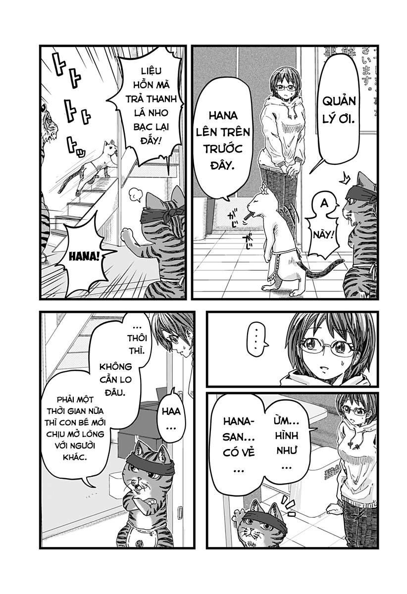 Red Cat Ramen Chapter 1 - Trang 2