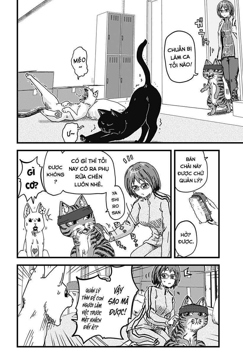 Red Cat Ramen Chapter 3 - Trang 2