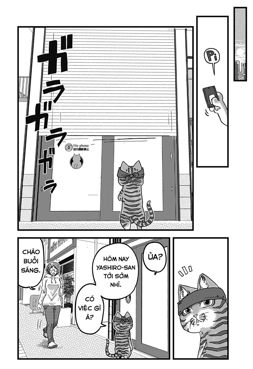 Red Cat Ramen Chapter 6 - Trang 2