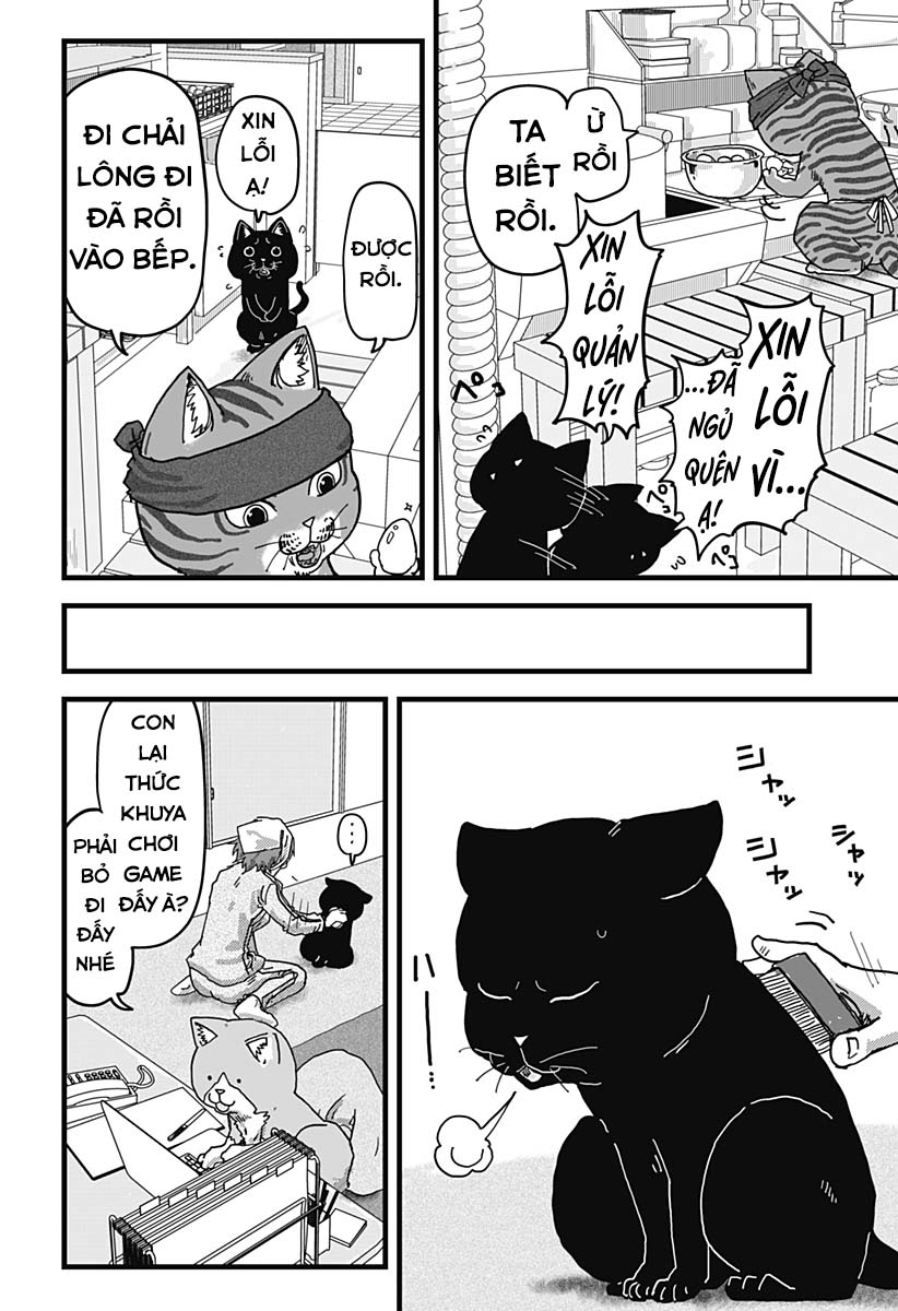 Red Cat Ramen Chapter 11 - Trang 2