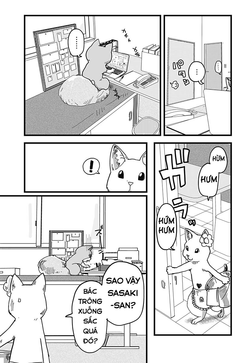 Red Cat Ramen Chapter 11 - Trang 2